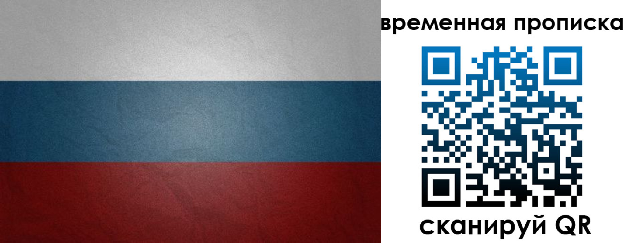 прописка поиск в Мурманске